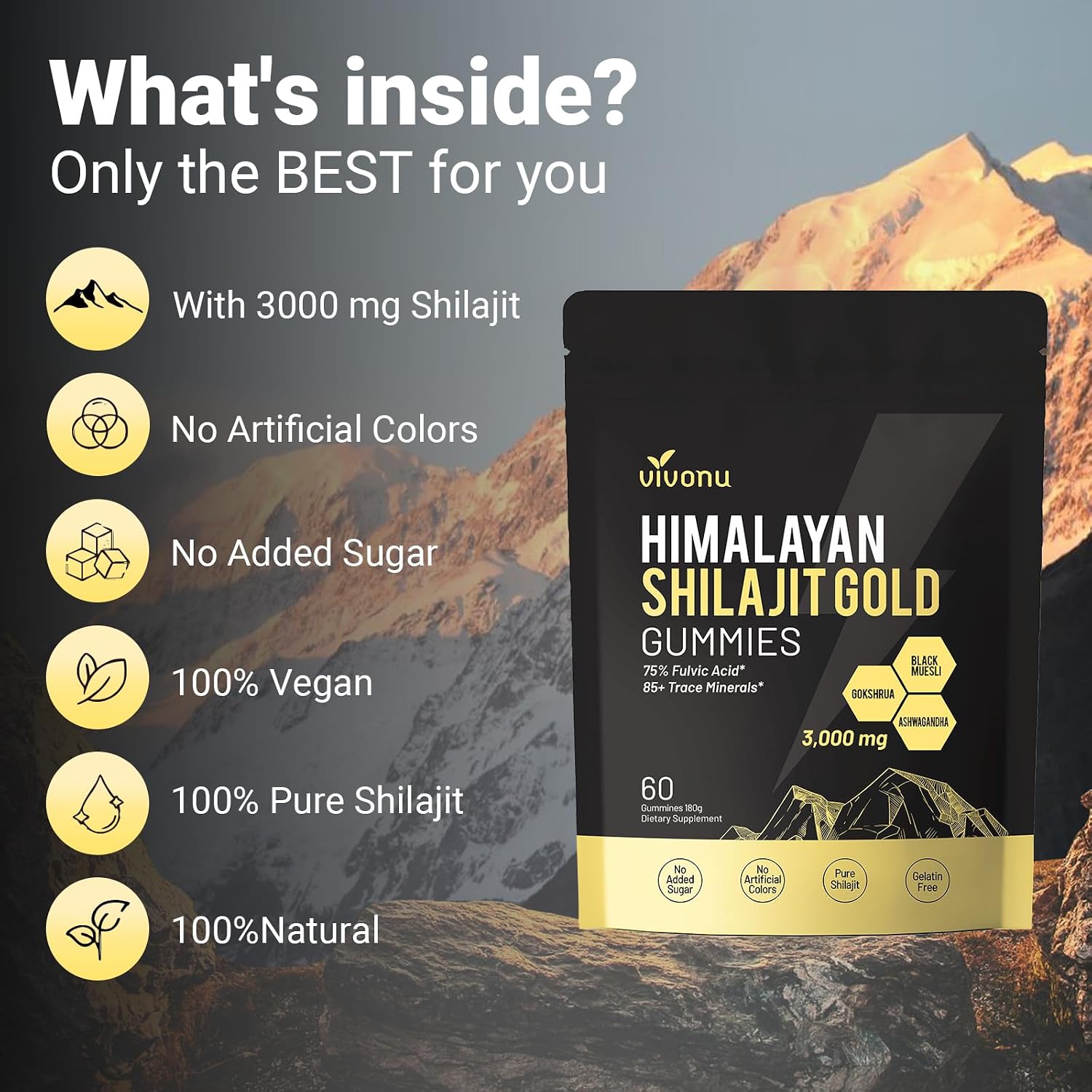 Himalayan Shilajit Gold